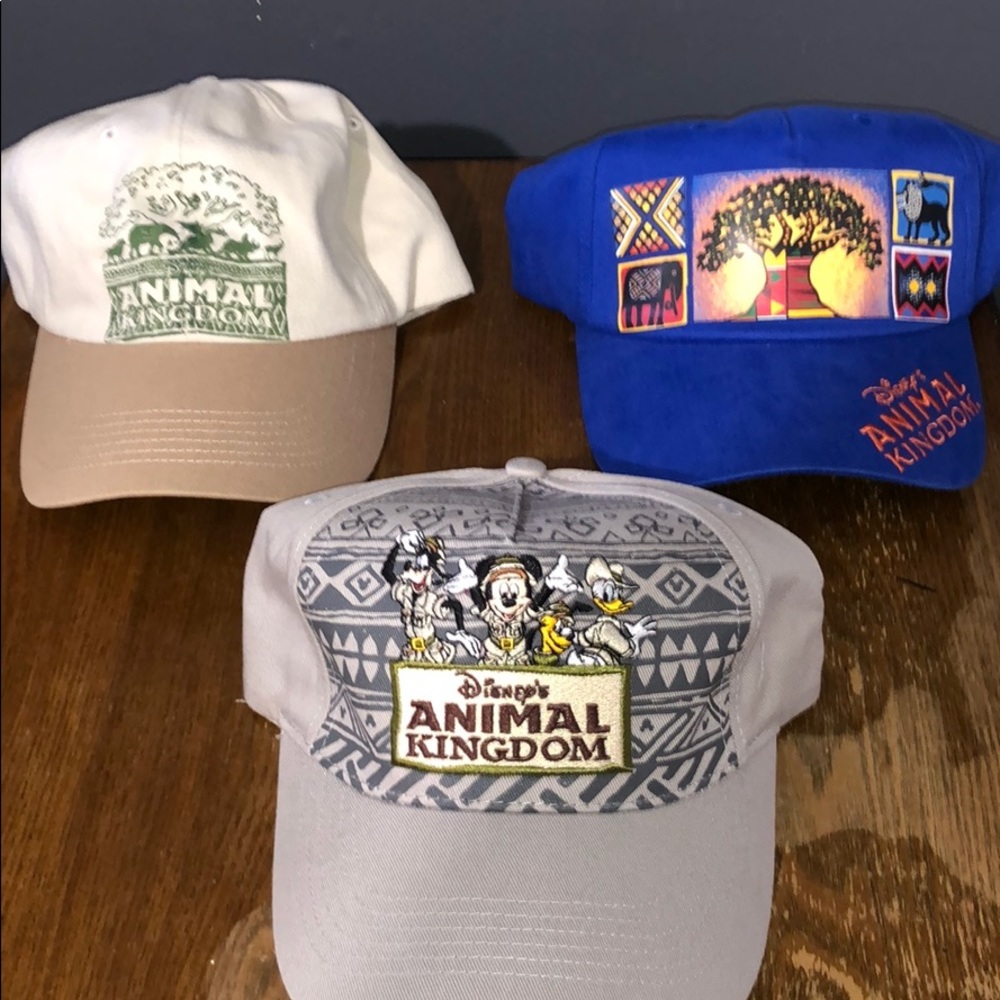 Disneyworld’s Animal Kingdom BUNDLE